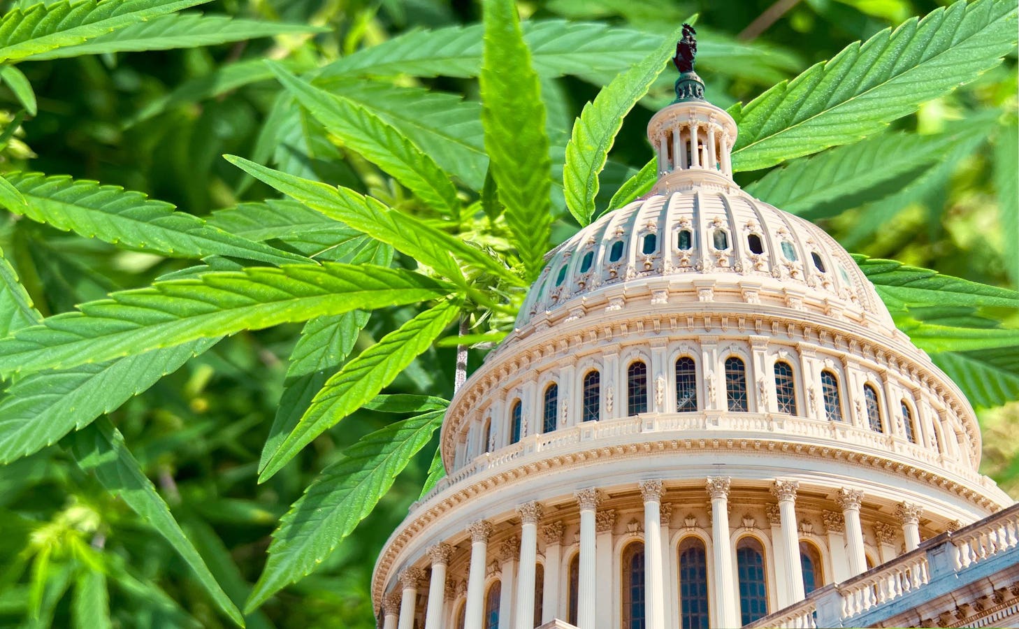U.S. Senators Introduce Bill To Legalize Marijuana