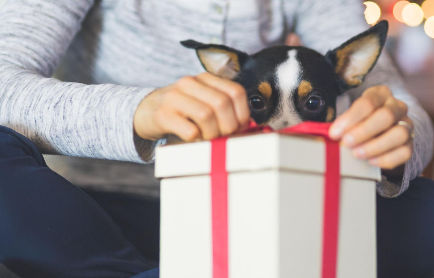 The Most Thoughtful Gifts For Pet Moms