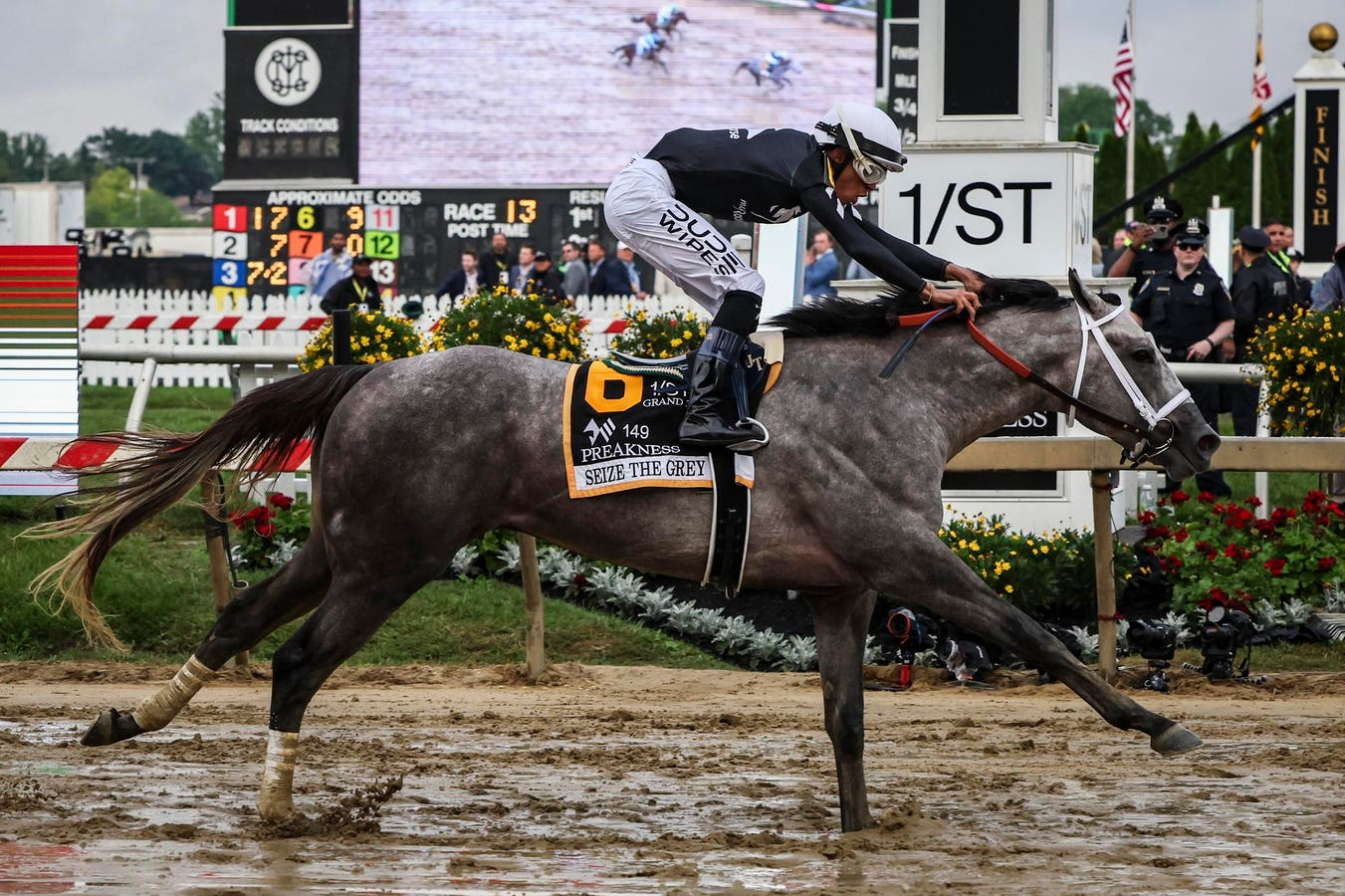Seize The Grey Wins Wire-To-Wire, Mystik Dan Places, Catching Freedom Shows
