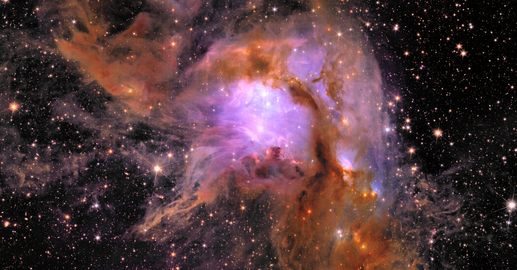 ESA Euclid Telescope’s New Images Search Dark Universe