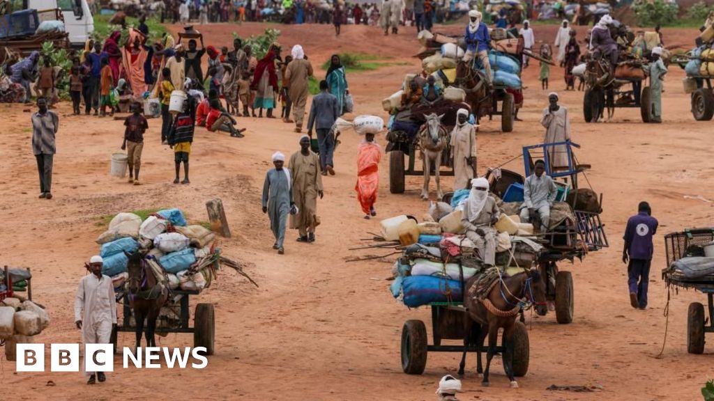 UN expert warns of genocide in Darfur city of El Fasher