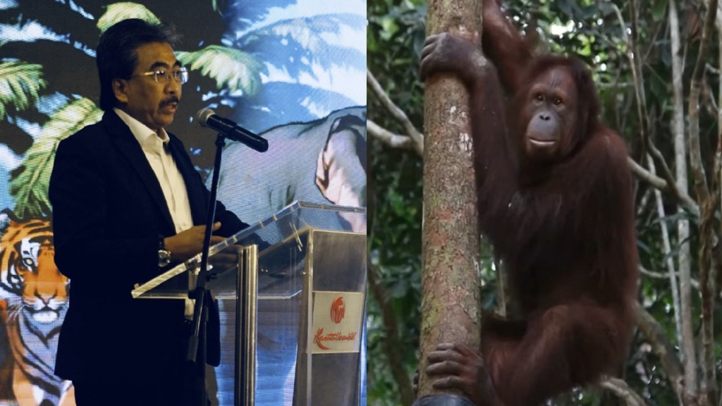 Malaysia's 'Orangutan Diplomacy' draws backlash for alleged hypocrisy