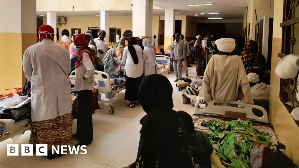Single hospital in Sudan city records 134 deaths