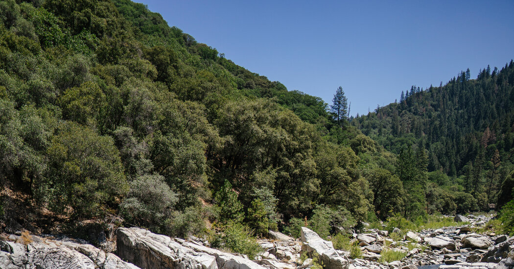 6 Wild Swimming Spots in California, Beyond the Coast