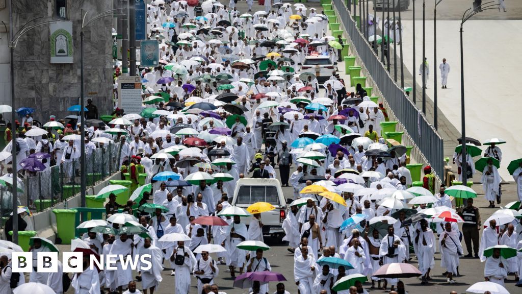 What's behind deaths at this year's Hajj pilgrimage in Saudi Arabia?
