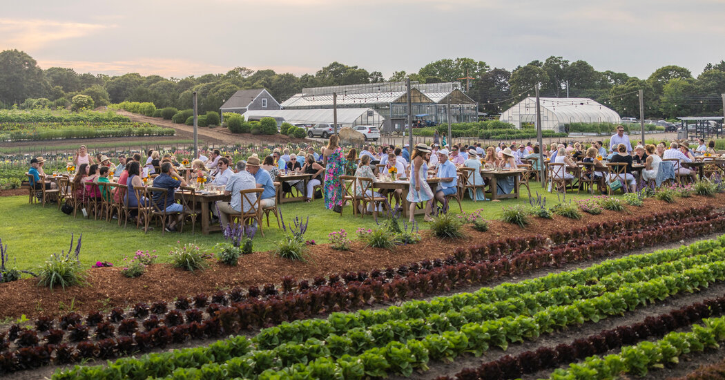 Farm-to-Table Wedding Venues Are on the Rise