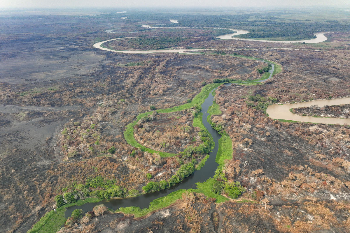 Brazil's Pantanal wetlands fire season hasn't officially started but it's already breaking records