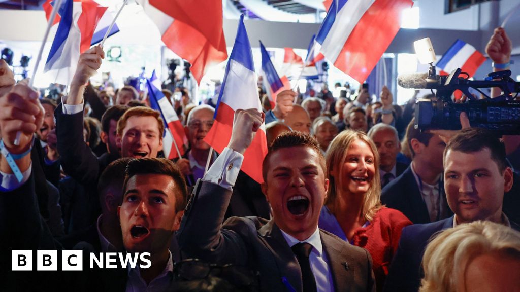 What the European results and far-right surge tells us