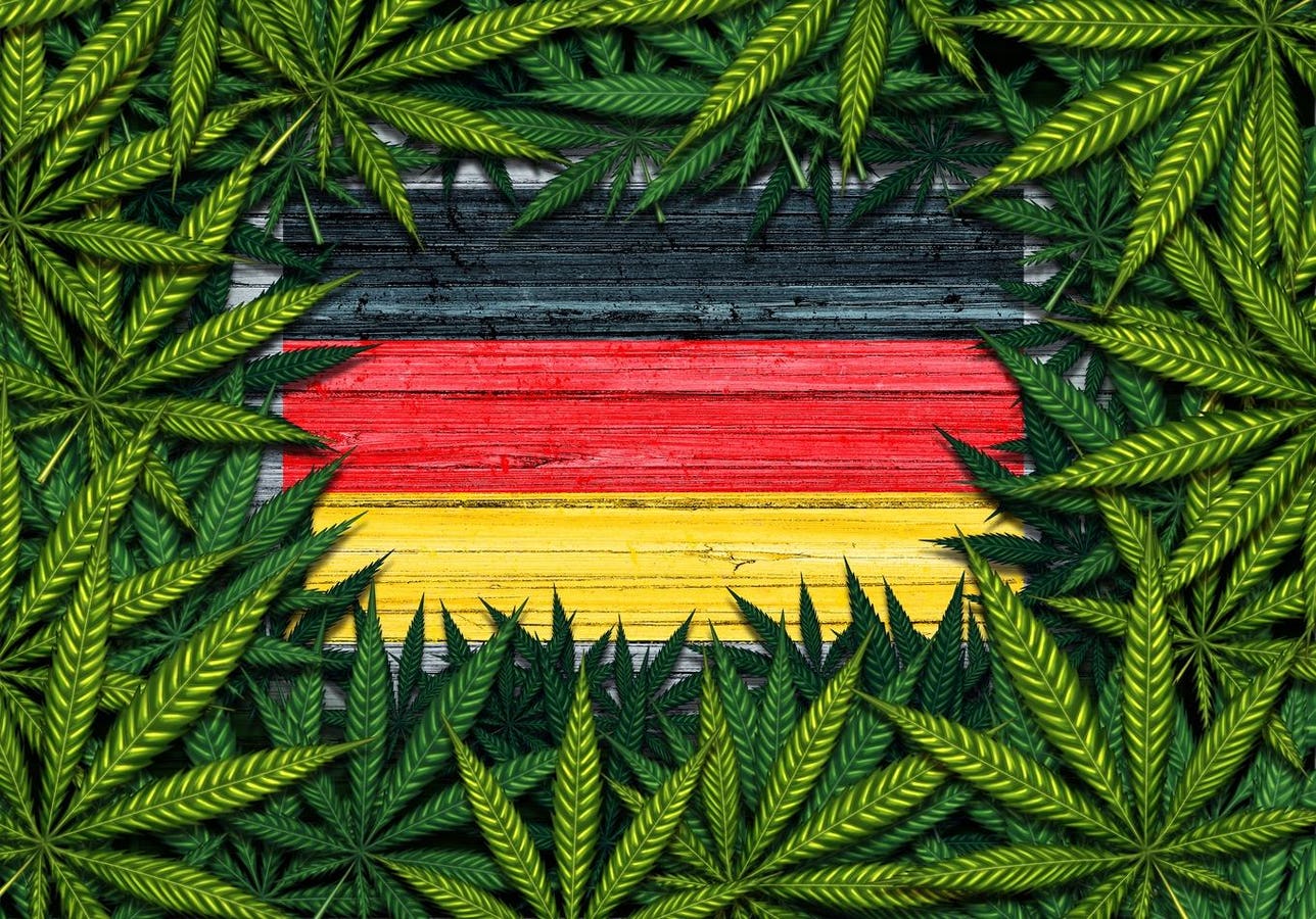 Bloomwell Group Launches Germany’s Largest Medical Cannabis Platform