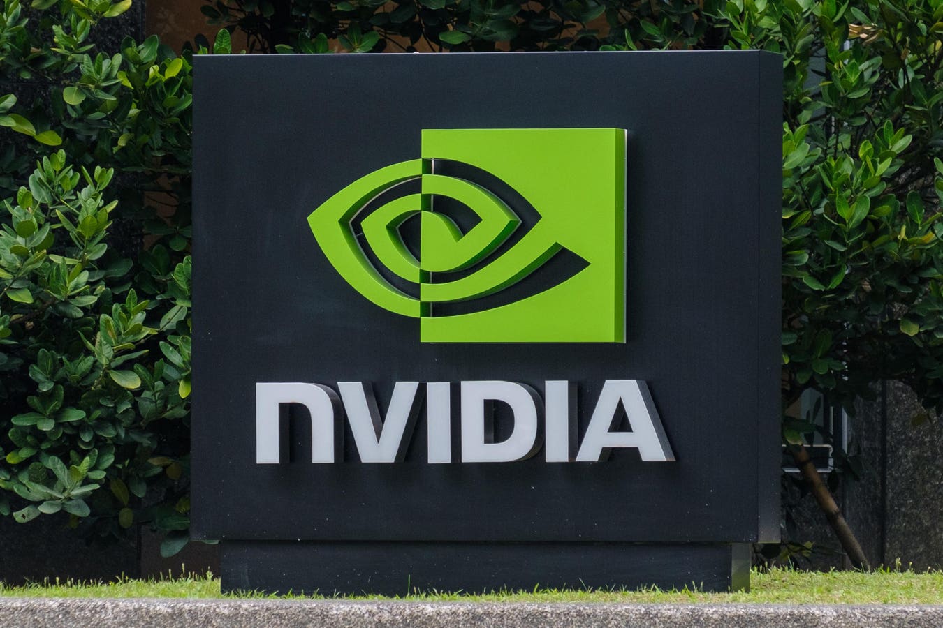 NVIDIA’s Work in Healthcare Is Just Getting Started