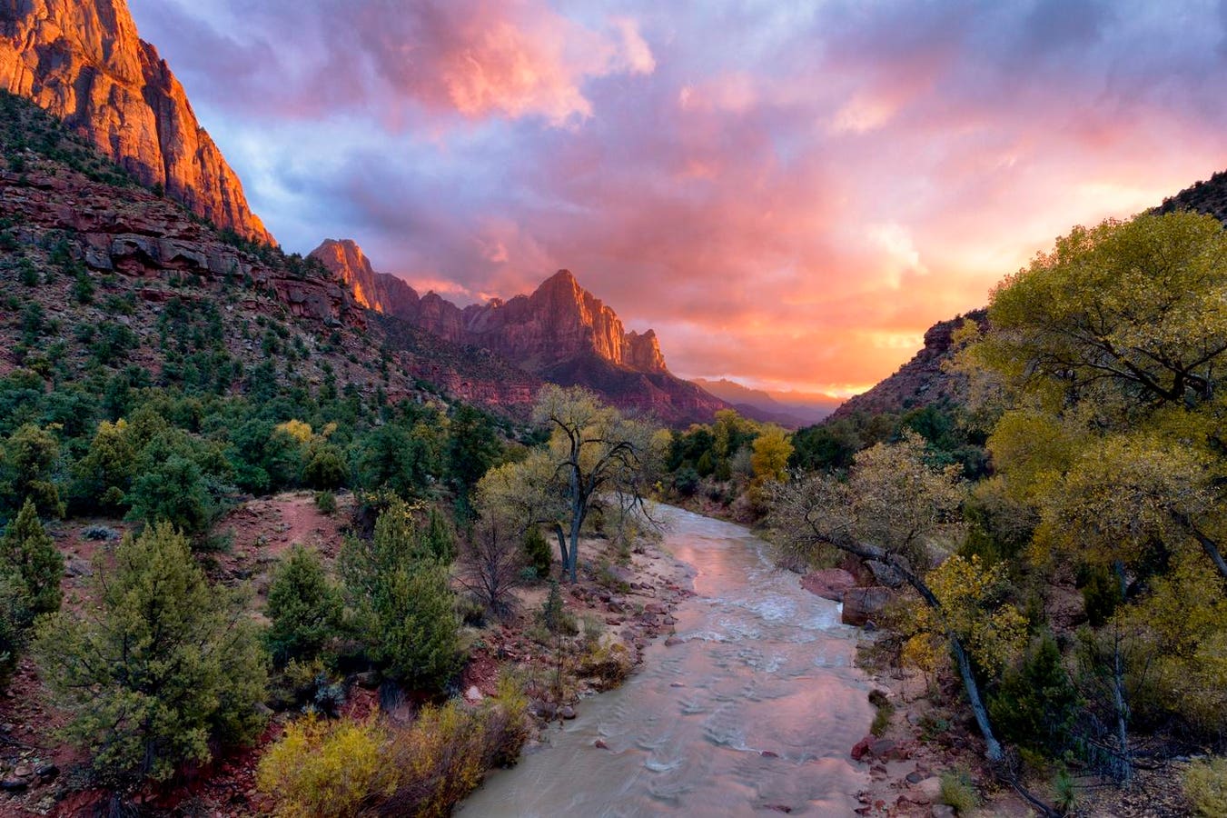 5 Must-Try Adventures Near Zion National Park