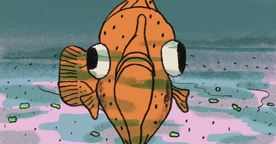 How Flounder Wound Up With an Epic Side-Eye