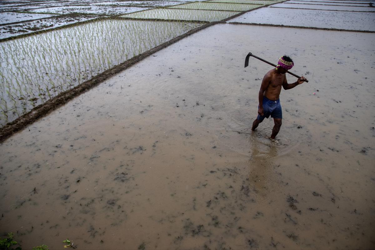Climate change makes India's monsoons erratic. Can farmers still find a way to prosper?
