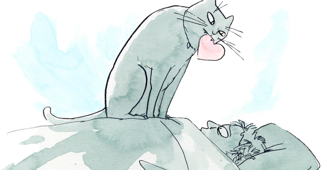 A Feline Scientist Explains Why Your Cat Might Actually Like You