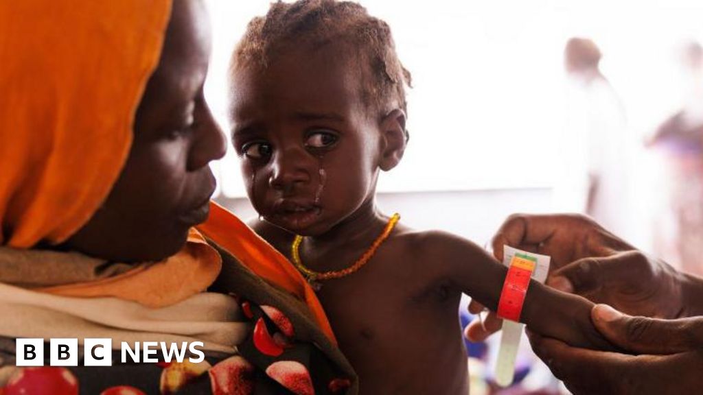 Millions face starvation as war rages