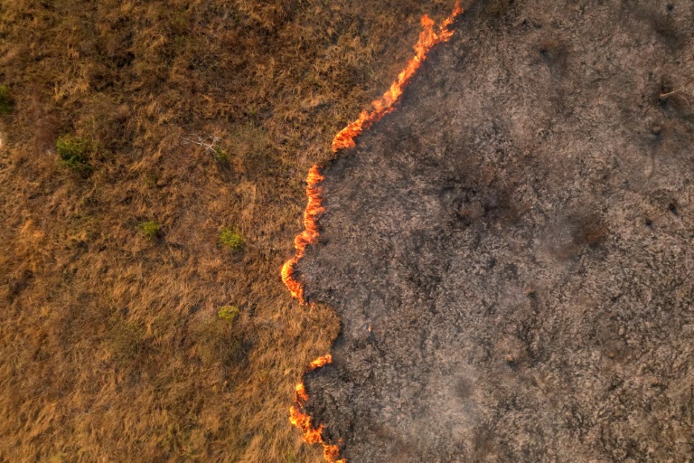 Aerial view of a fire outbreak in a rural area of Corumba, Mato Grosso do Sul State, Brazil, taken on June 25, 2024 (Florian PLAUCHEUR)