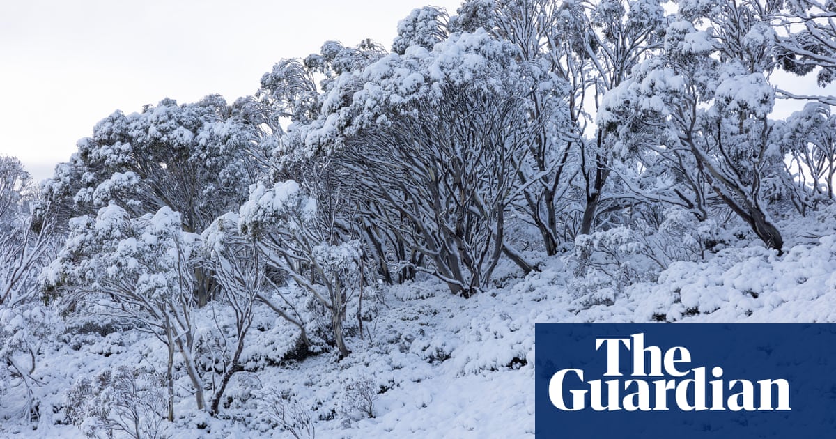 Eastern Australia to shiver through cold week as snow predicted for ski fields in Victoria and NSW | Australia weather