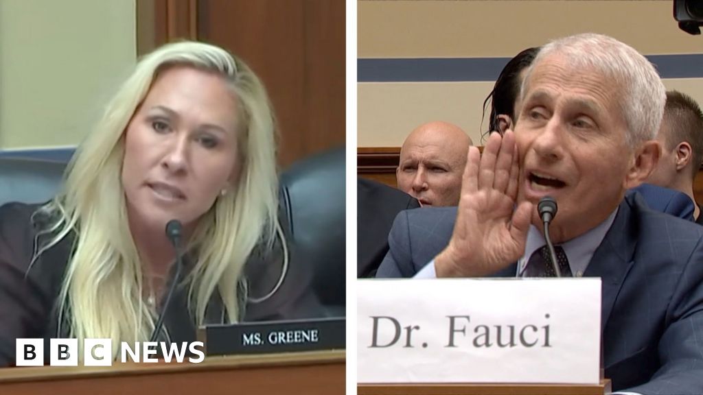 Anthony Fauci grilled in hearing
