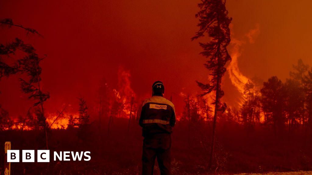 Arctic wildfires ravage region, EU climate service says