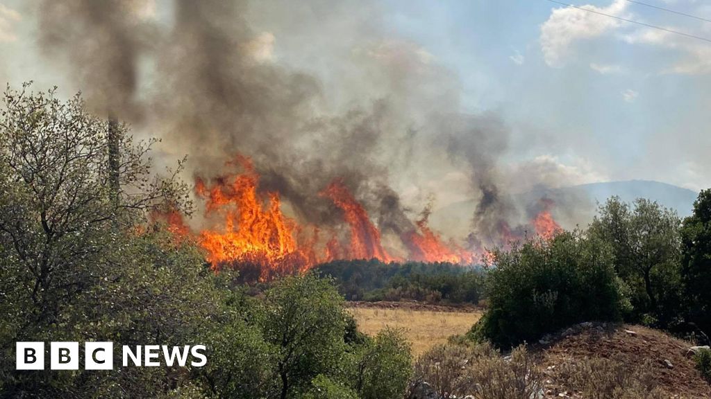 Firefighter dies battling forest blaze
