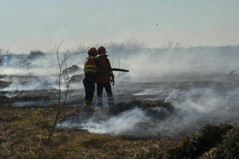 Firefighters battle a blaze in the Pantanal (Handout)