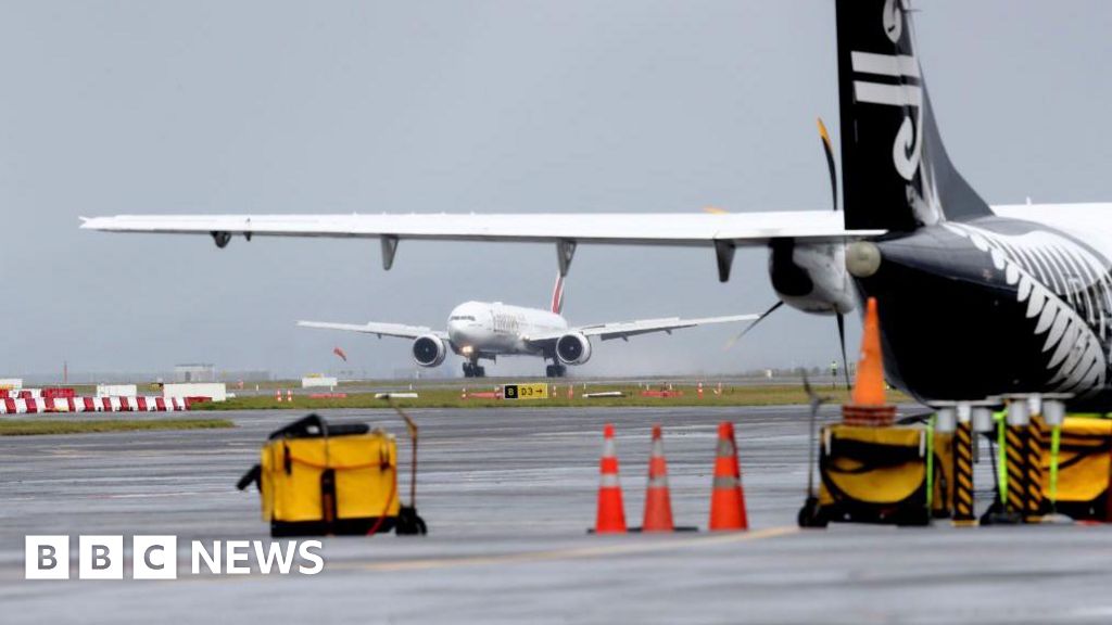 New Zealand woman sues partner for not taking her to airport