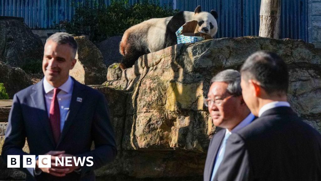 Beijing offers pandas to repair Australia relationship