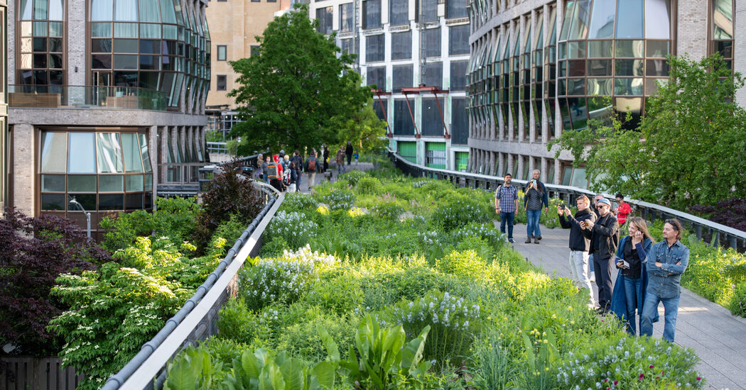 The High Line Opened 15 Years Ago in NYC. What Has It Taught Us?