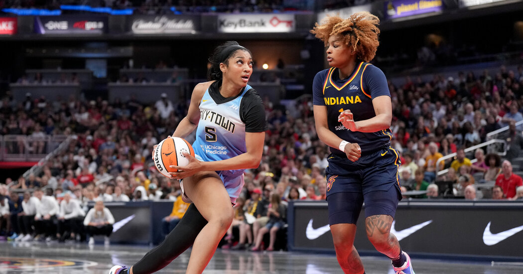 WNBA Players Seek Expert Advice as They Assess Next Union Contract