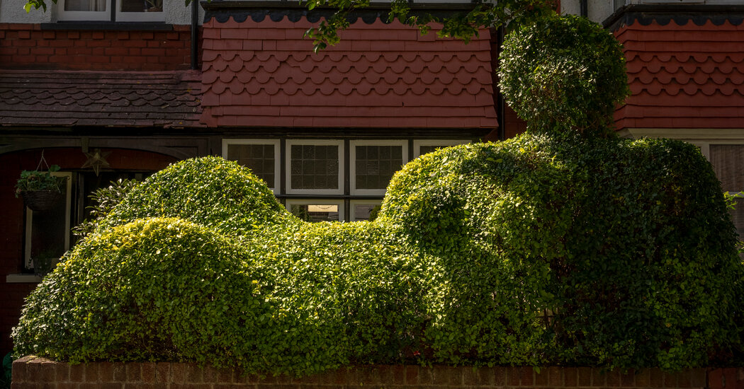 You See a Hedge. He Sees Something Else.