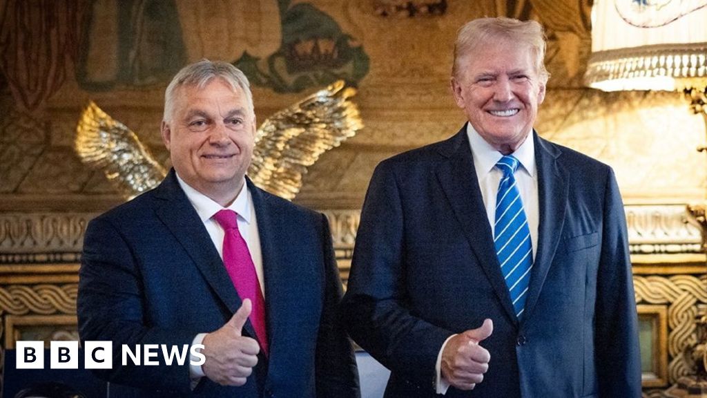 Hungary's Orban goes global as self-styled peacemaker without a plan