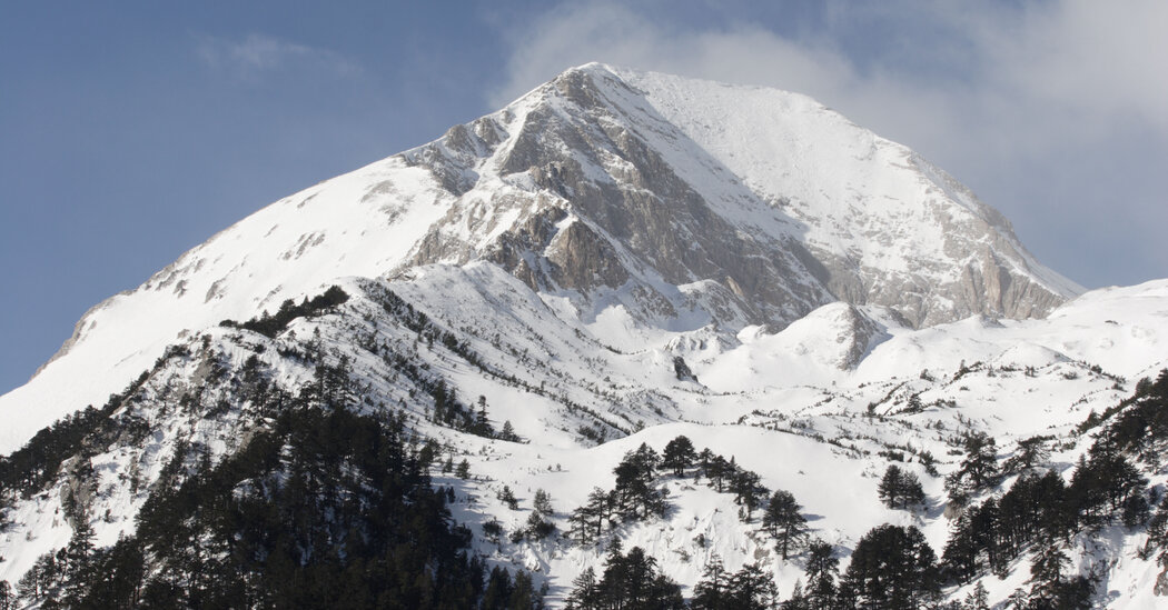 Centuries of Avalanches Are Stored in Tree Rings