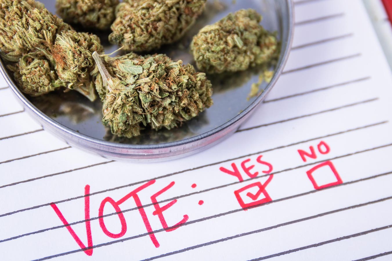 Florida Marijuana Legalization Bid Headed To Victory, Polls Suggest