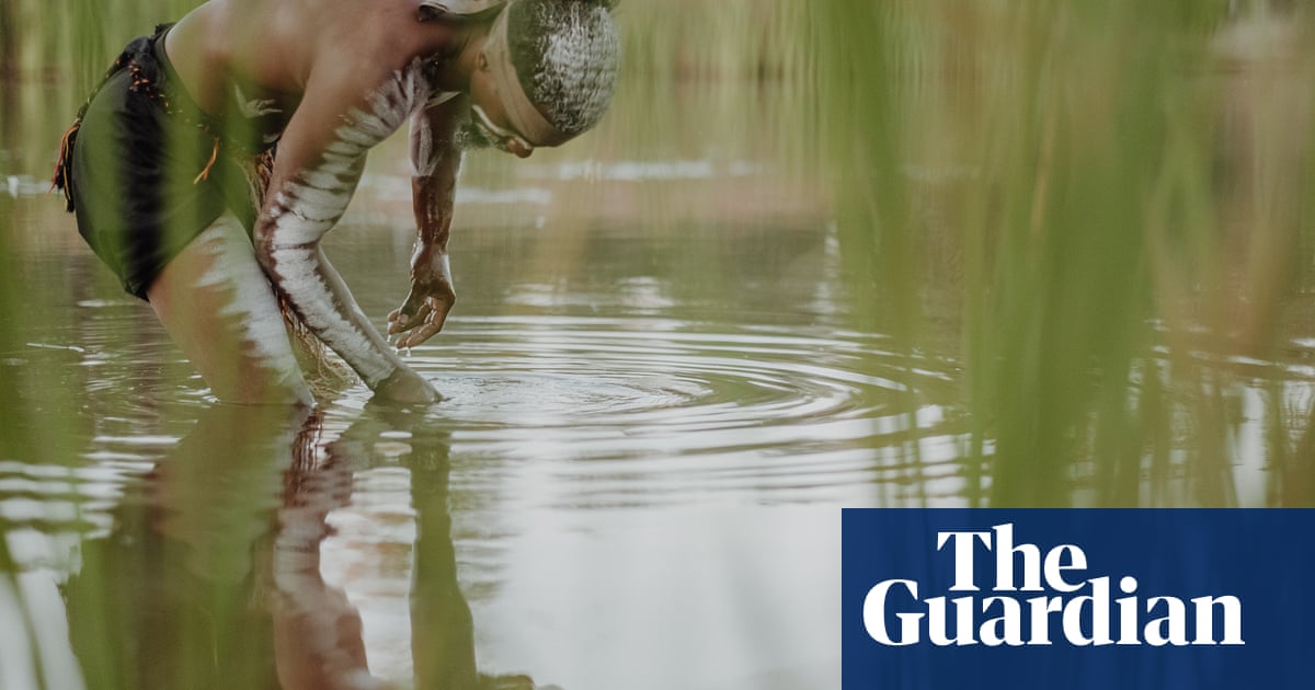 Adani’s Queensland coalmine a threat to important wetland, Indigenous groups and scientists say | Carmichael coalmine