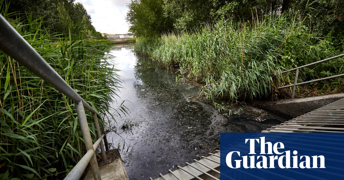 Water companies urged by UK ICO to ‘be open’ about sewage discharges | Water industry