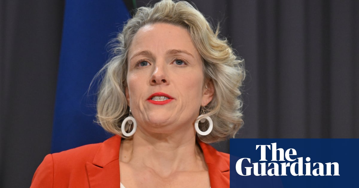 Bad actors seizing on Microsoft IT outage to scam public, Clare O’Neil warns | Australian politics