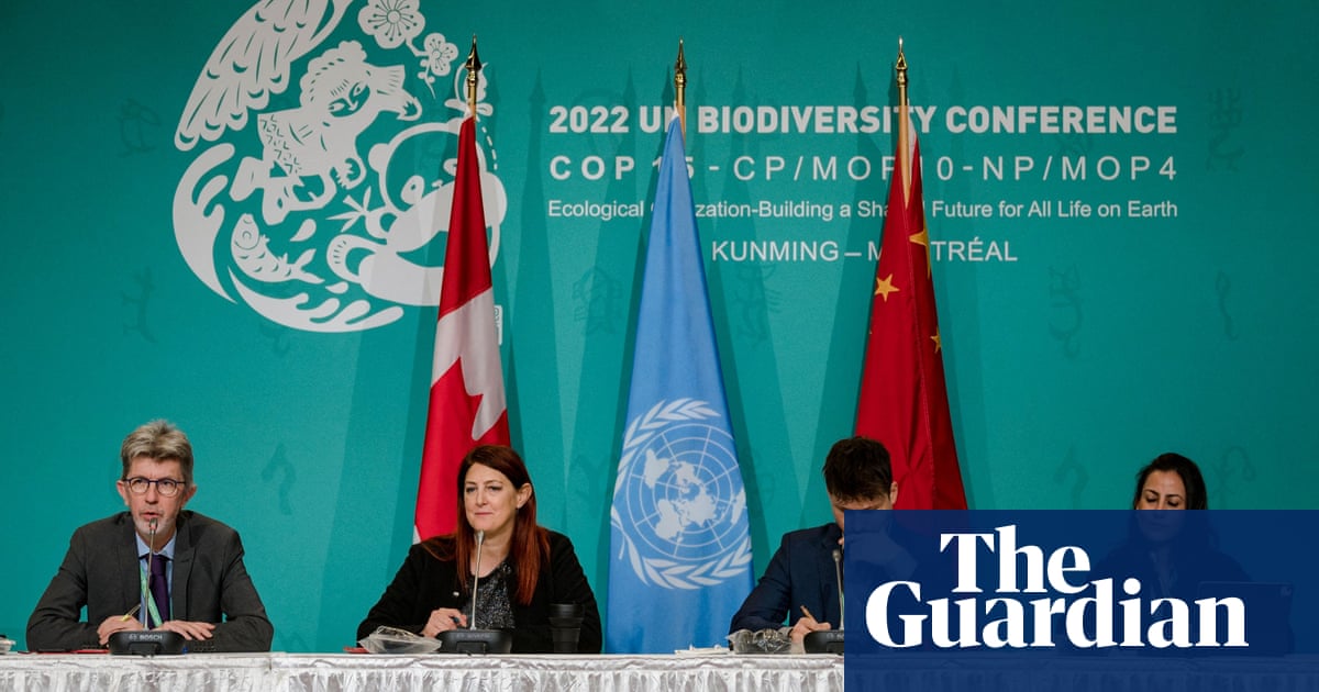 Colombia gives assurances over UN biodiversity summit after rebels’ threat | Biodiversity