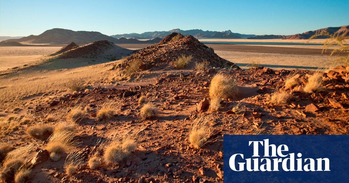 ‘People think they’ll smell but they don’t’: building homes from mushroom waste and weeds | Namibia