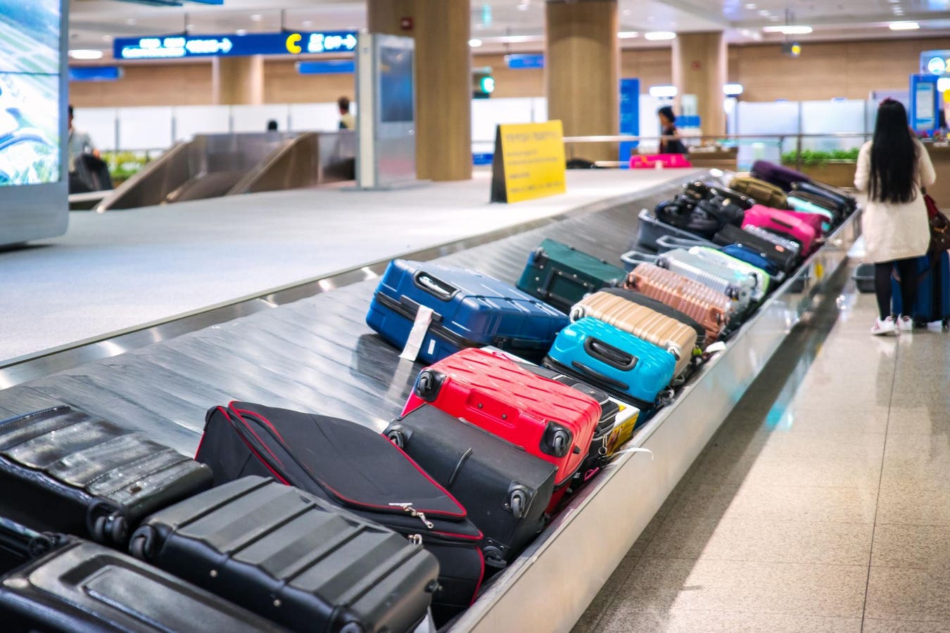 The Best Checked Luggage For Every Kind Of Trip