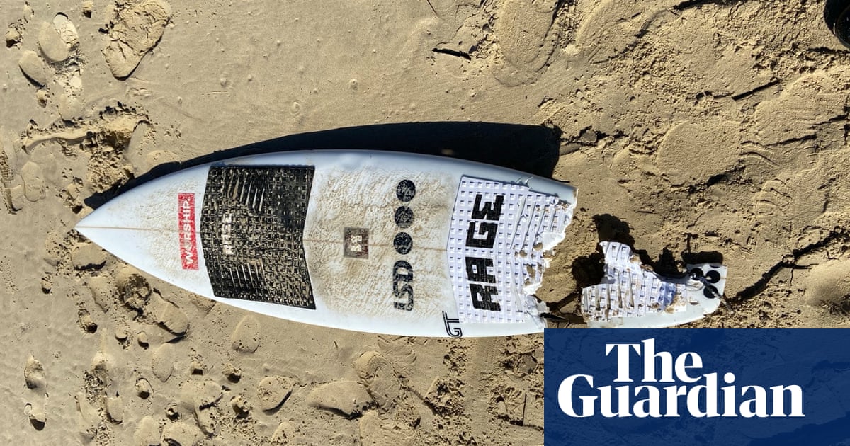 Surfer’s leg washes up on beach after Port Macquarie shark attack | Australia news