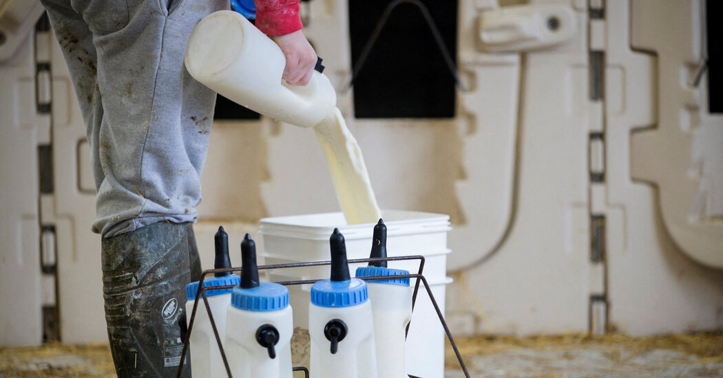 Two Dead in Canada From Contaminated Milk Substitutes