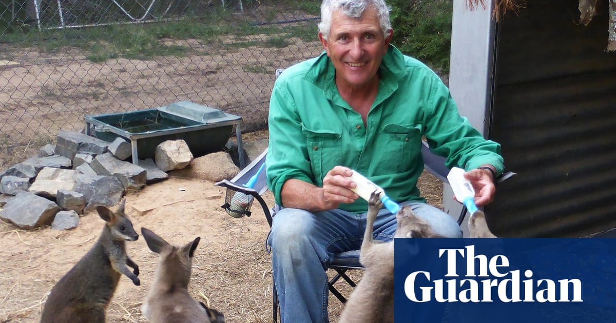 Wildlife rescue group Wires faces crunch vote amid volunteer discontent over funds raised after bushfires | Wildlife