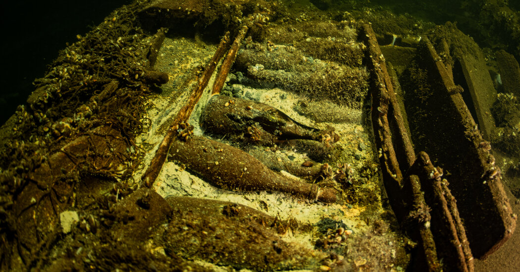 Divers in Baltic Find What Looks Like Champagne on Shipwreck
