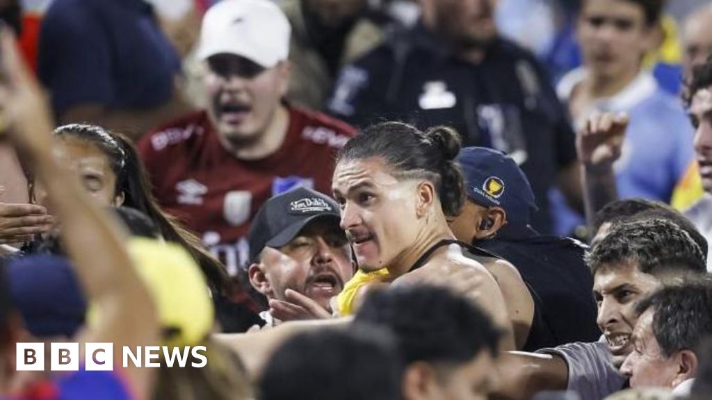 Liverpool's Darwin Núñez in clash with fans after Uruguay match