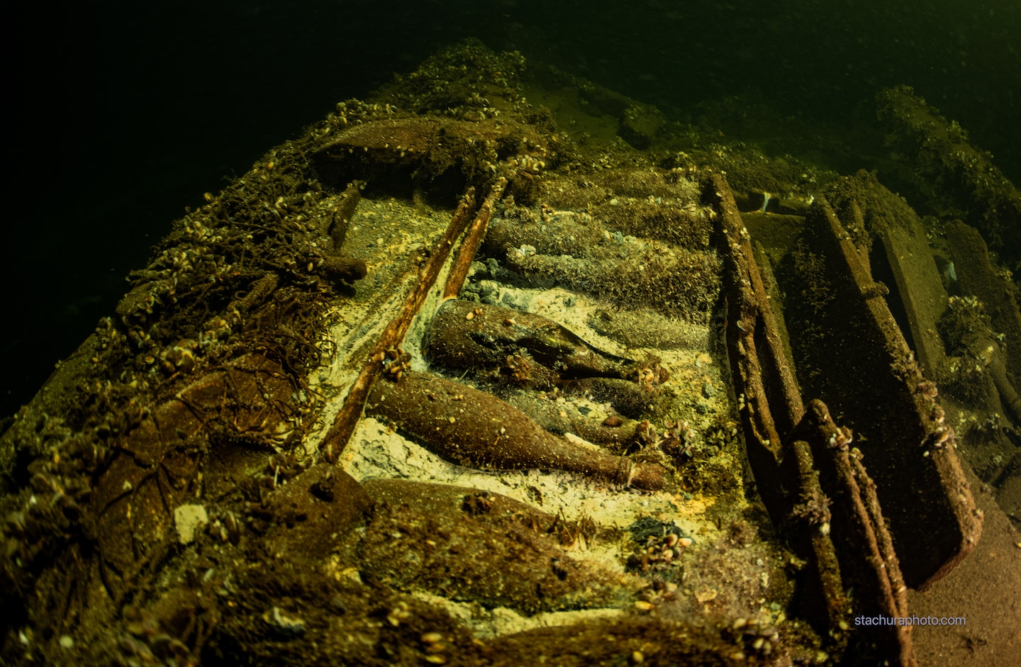 Baltic Sea divers discover shipwreck with 100 bottles of champagne