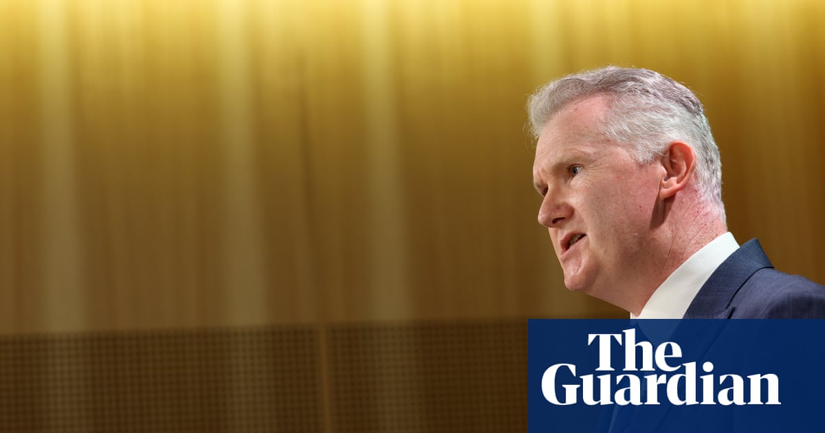 CFMEU could be deregistered ‘if that’s what needs to be done’ after allegations, minister says | Tony Burke