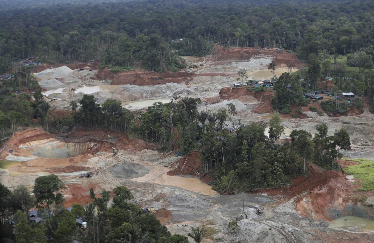 Deforestation in Colombia fell to historic lows in 2023, environment minister says