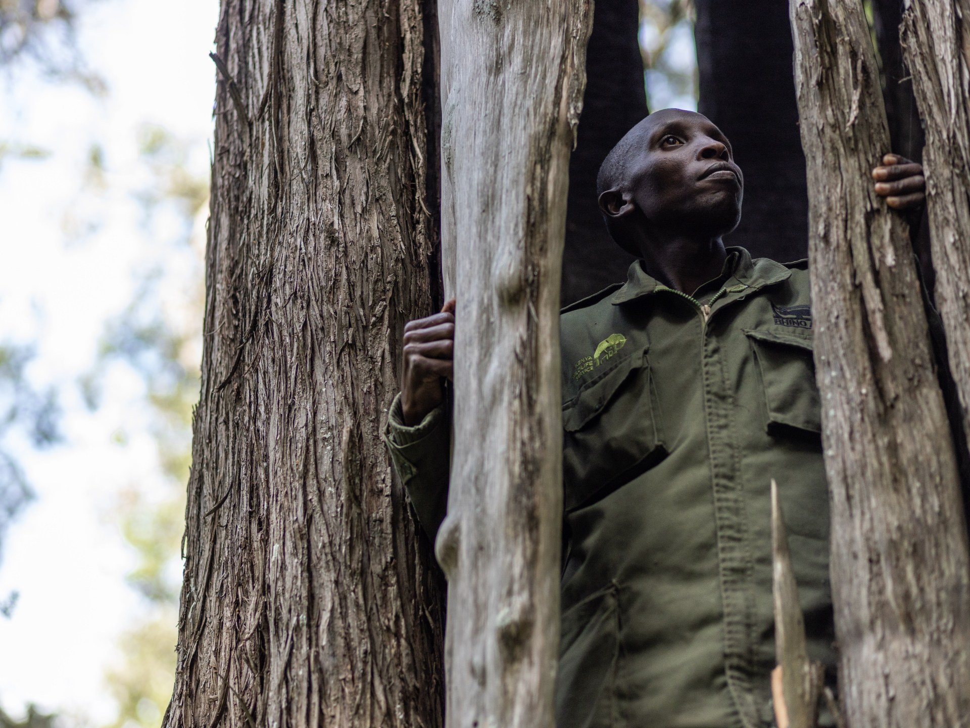 ‘We know the tactics they use’: The poachers turned gamekeepers of Kenya | Wildlife