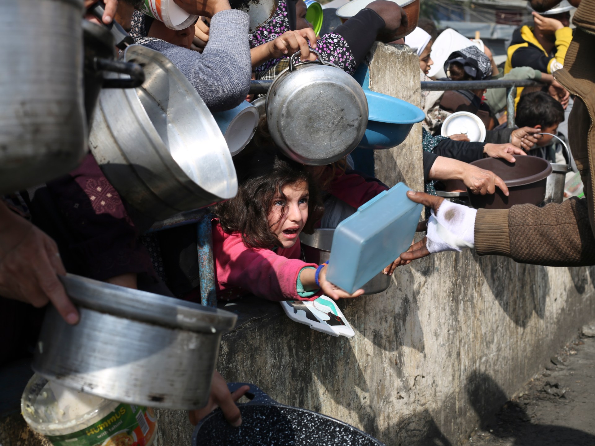 Has famine arrived in Gaza? UN experts say it has | Humanitarian Crises News