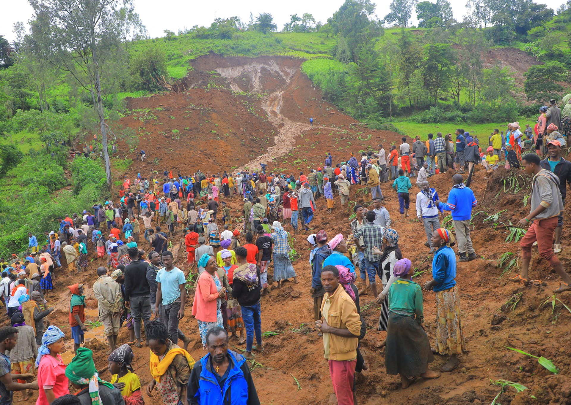 Over 100 people killed in twin Ethiopia landslides | Weather News